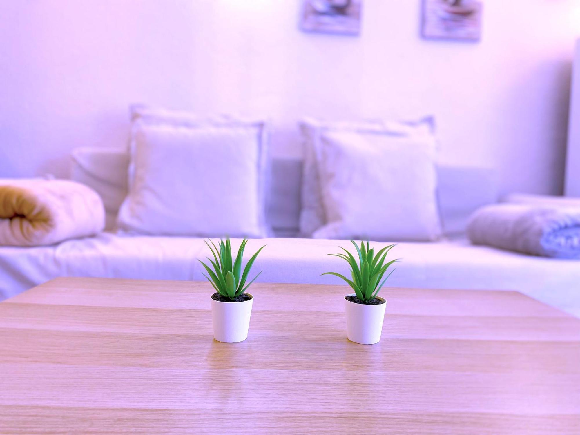 Tropicalidays Cristianos Angel Appartement Los Cristianos  Buitenkant foto