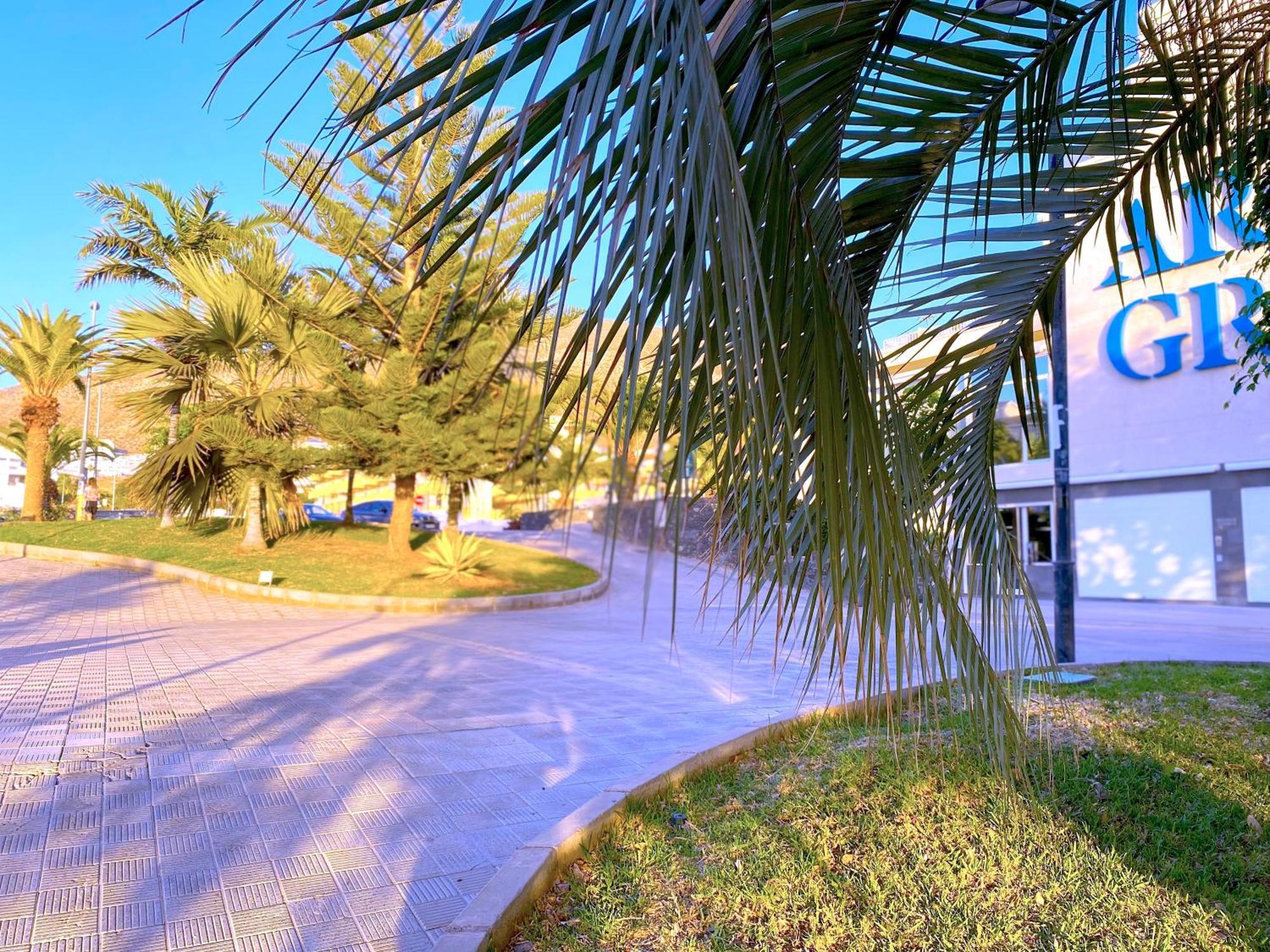 Tropicalidays Cristianos Angel Appartement Los Cristianos  Buitenkant foto
